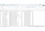 do accurate data cleaning, formatting and excel reports